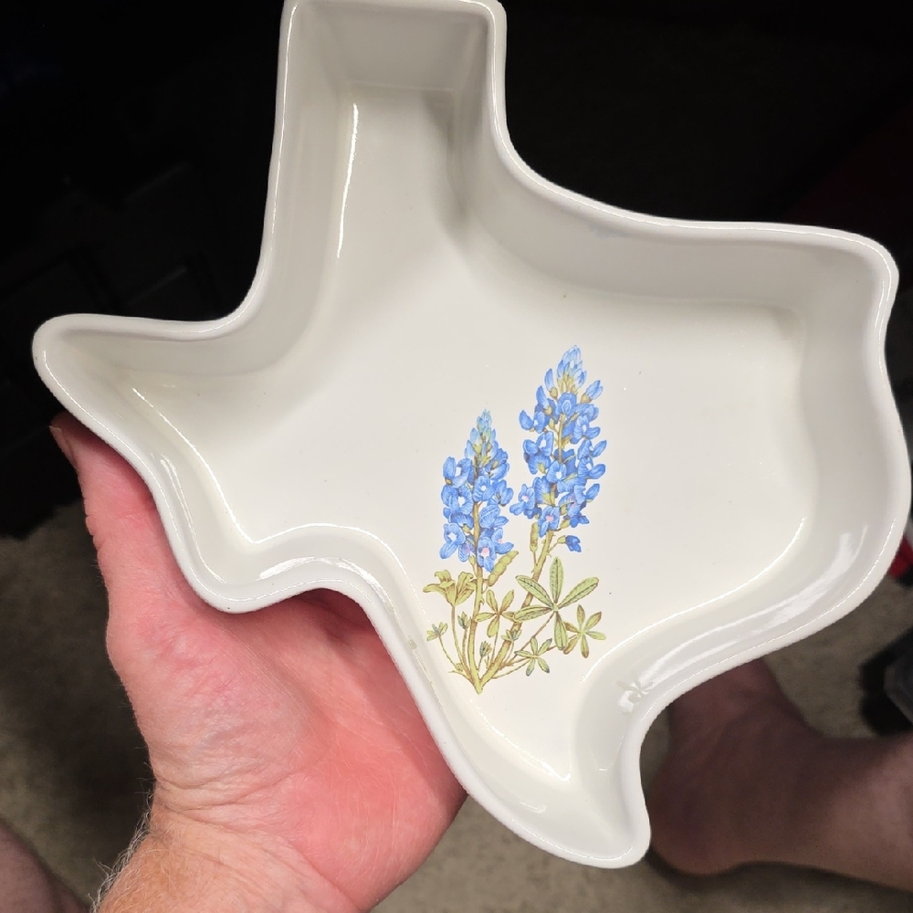 Vintage Pottery Texas State Chip Salsa Serving Dish Bluebell Flowers